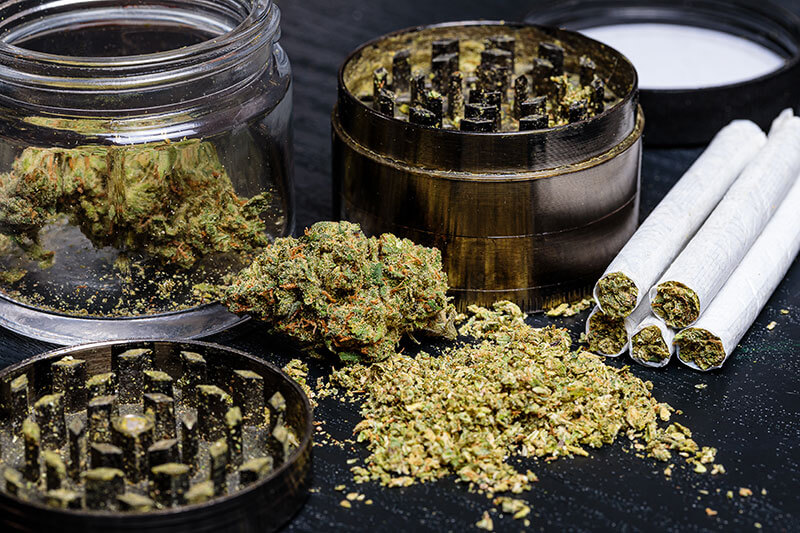 Common Cannabis Myths