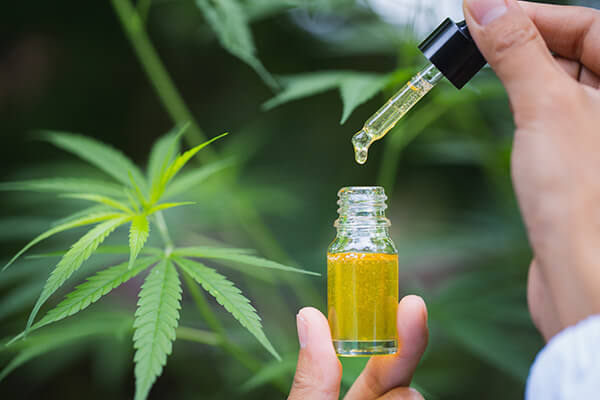 what is cbd oil